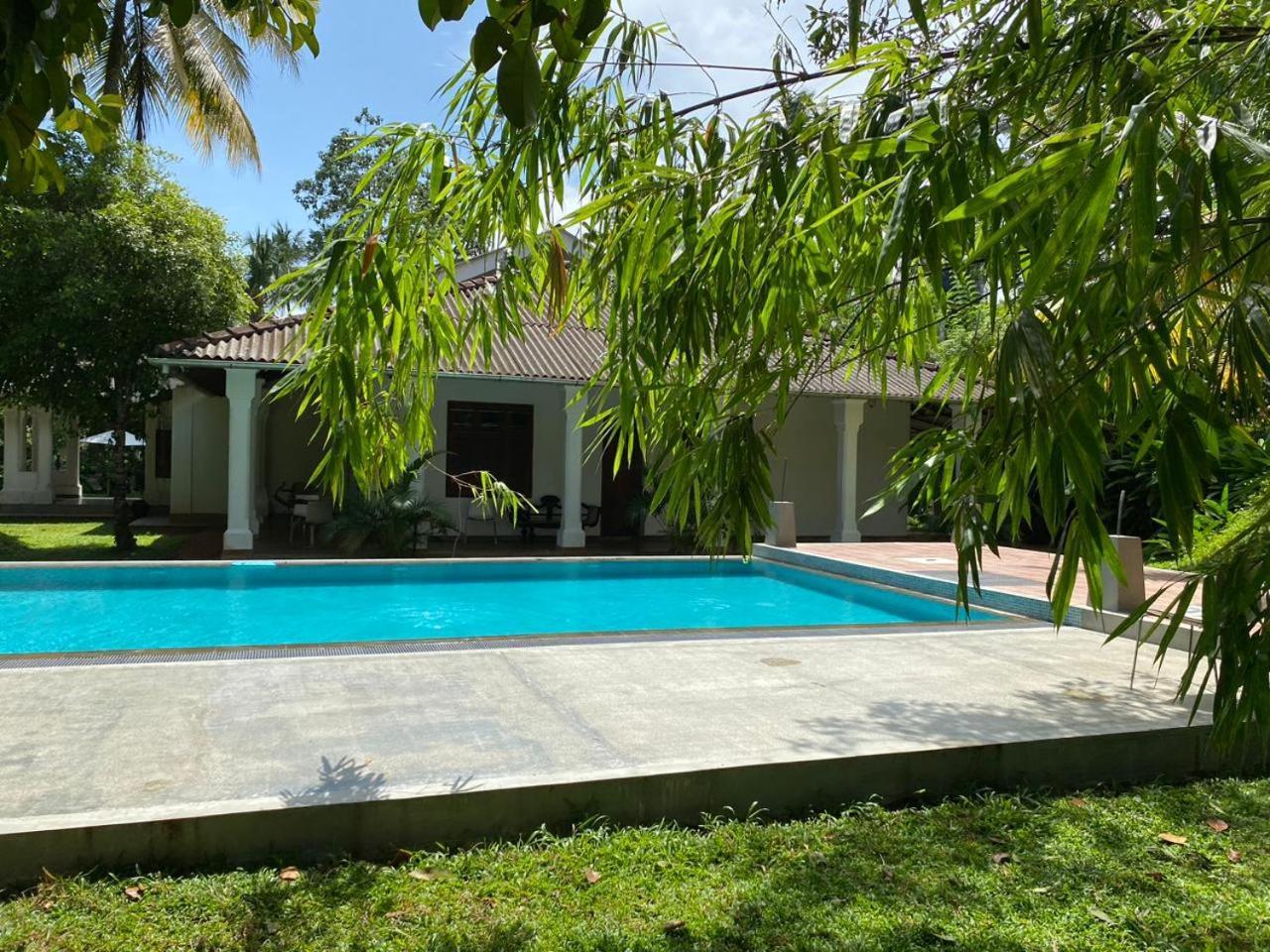 Villa Helvetia Galle Extérieur photo